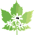 TowerTree